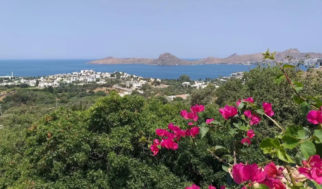 Вид на море в Ялыкаваке